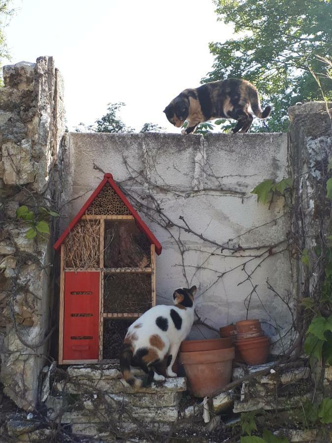 Au Chat Perche Mareil-sur-Mauldre Exteriör bild